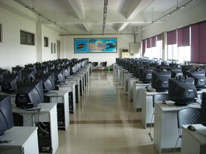 06級測控技術與儀器專業學雷鋒活動總結